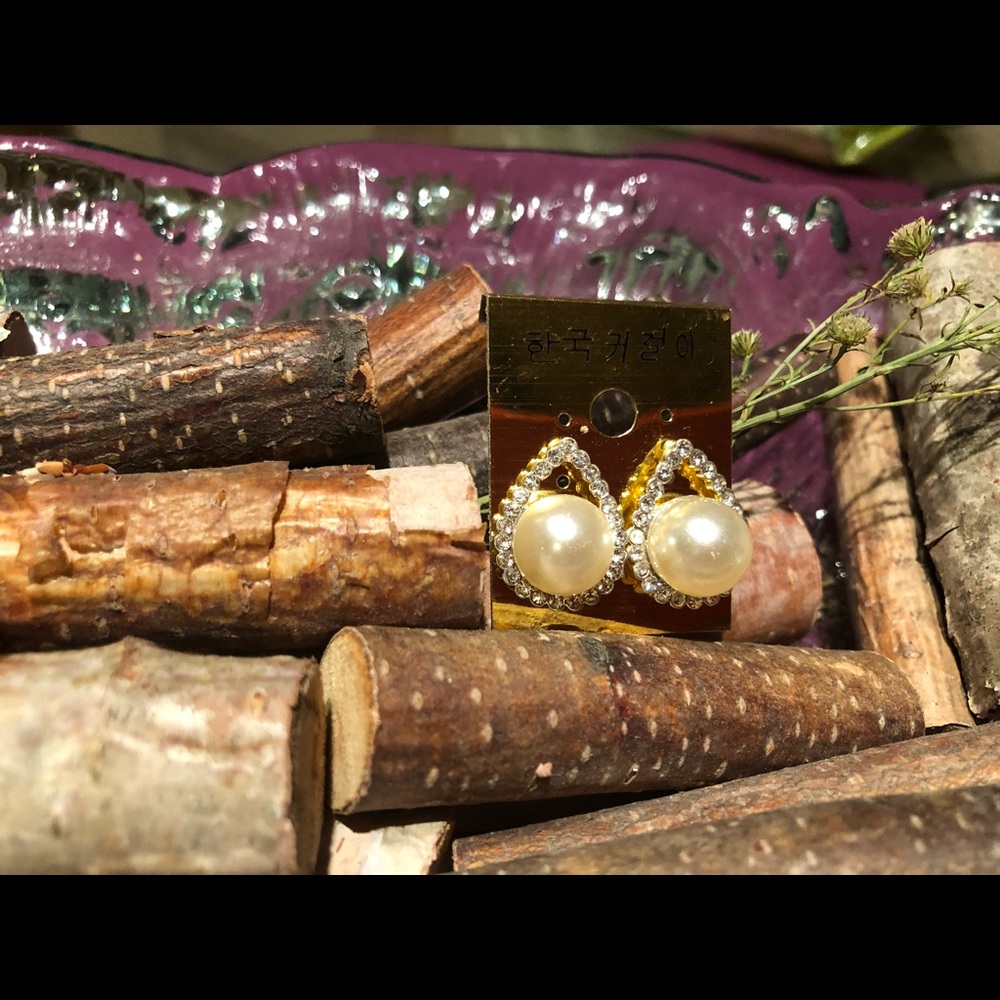 Elegant fashion earrings